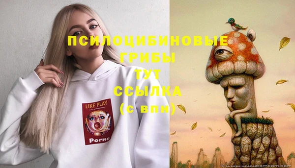 Альфа ПВП Алзамай