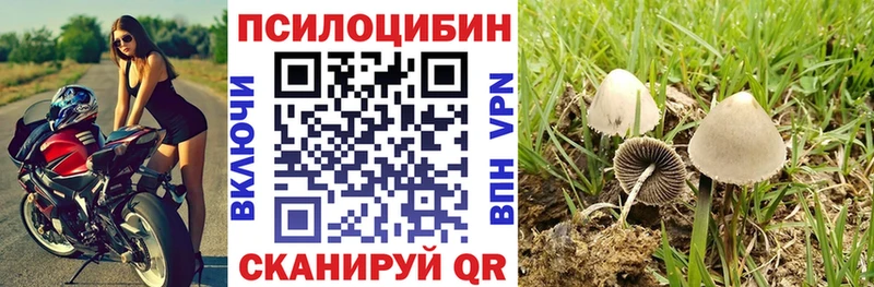 Псилоцибиновые грибы Psilocybine cubensis  блэк спрут сайт  Кудрово  купить закладку 