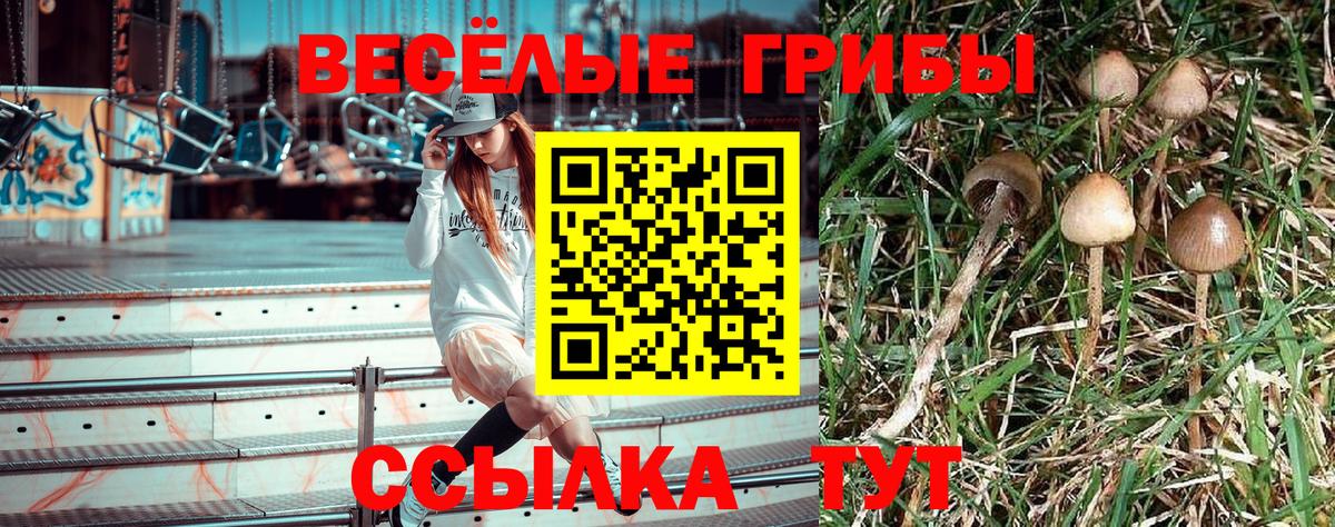 Галлюциногенные грибы мицелий Кудрово
